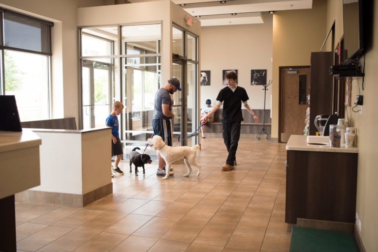 Tour Our Animal Hospital in Geneva, IL | Photo Gallery