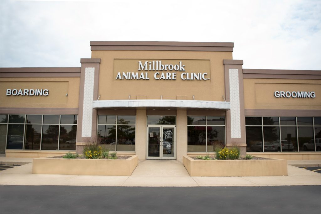 Tour Our Animal Hospital in Geneva, IL | Photo Gallery