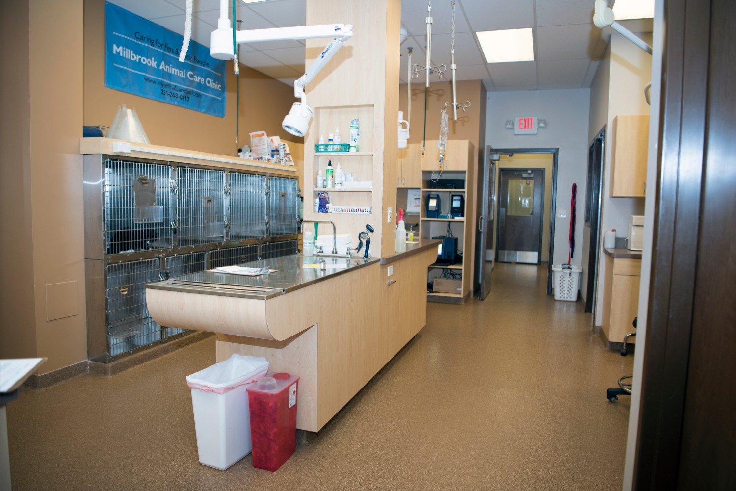 Hospital Tour Millbrook Animal Care Clinic